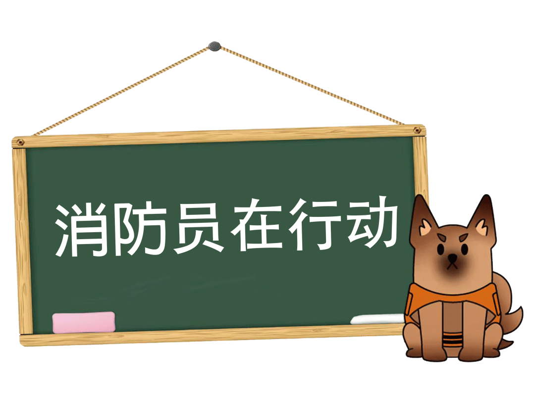 上门入户在行动|奉贤区持续开展上门关怀